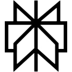 perplexity icon